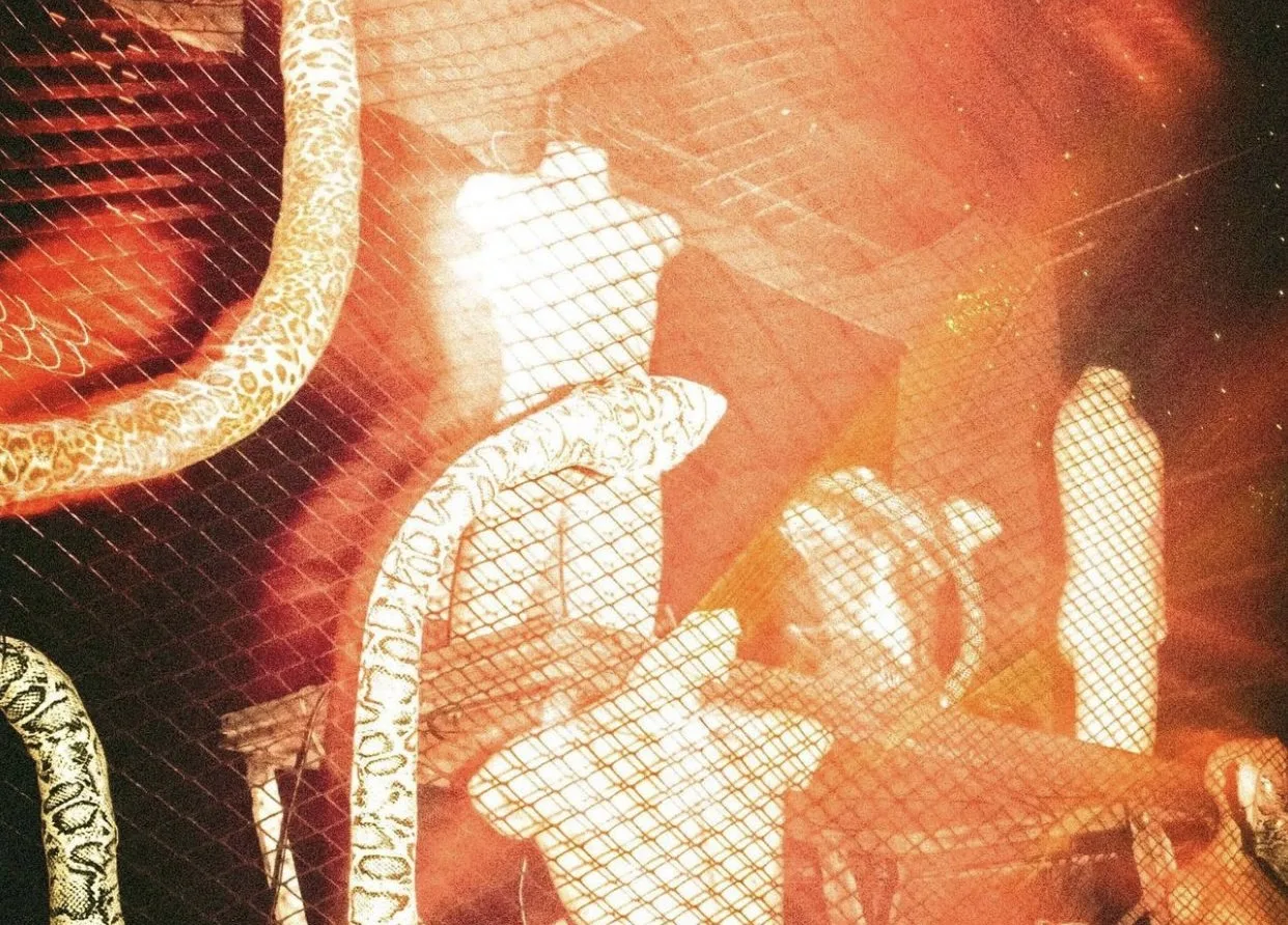 Cena Underground: Kobra Eletrika acontece hoje na Fabric Aracaju