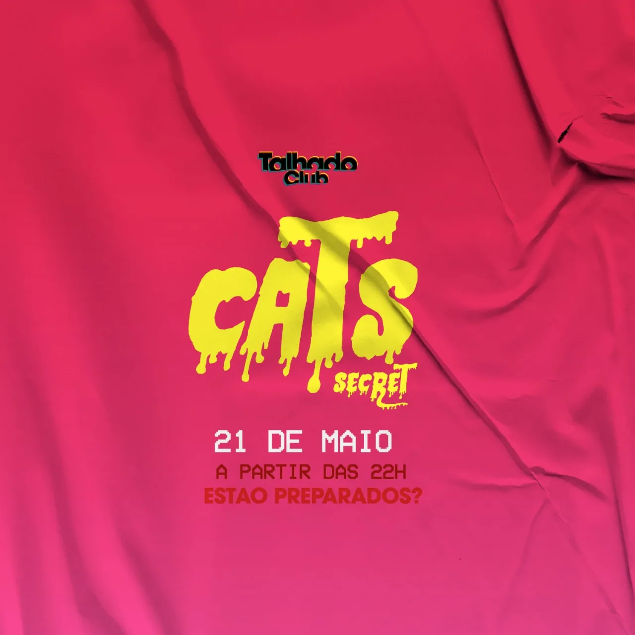 Cats Secret
