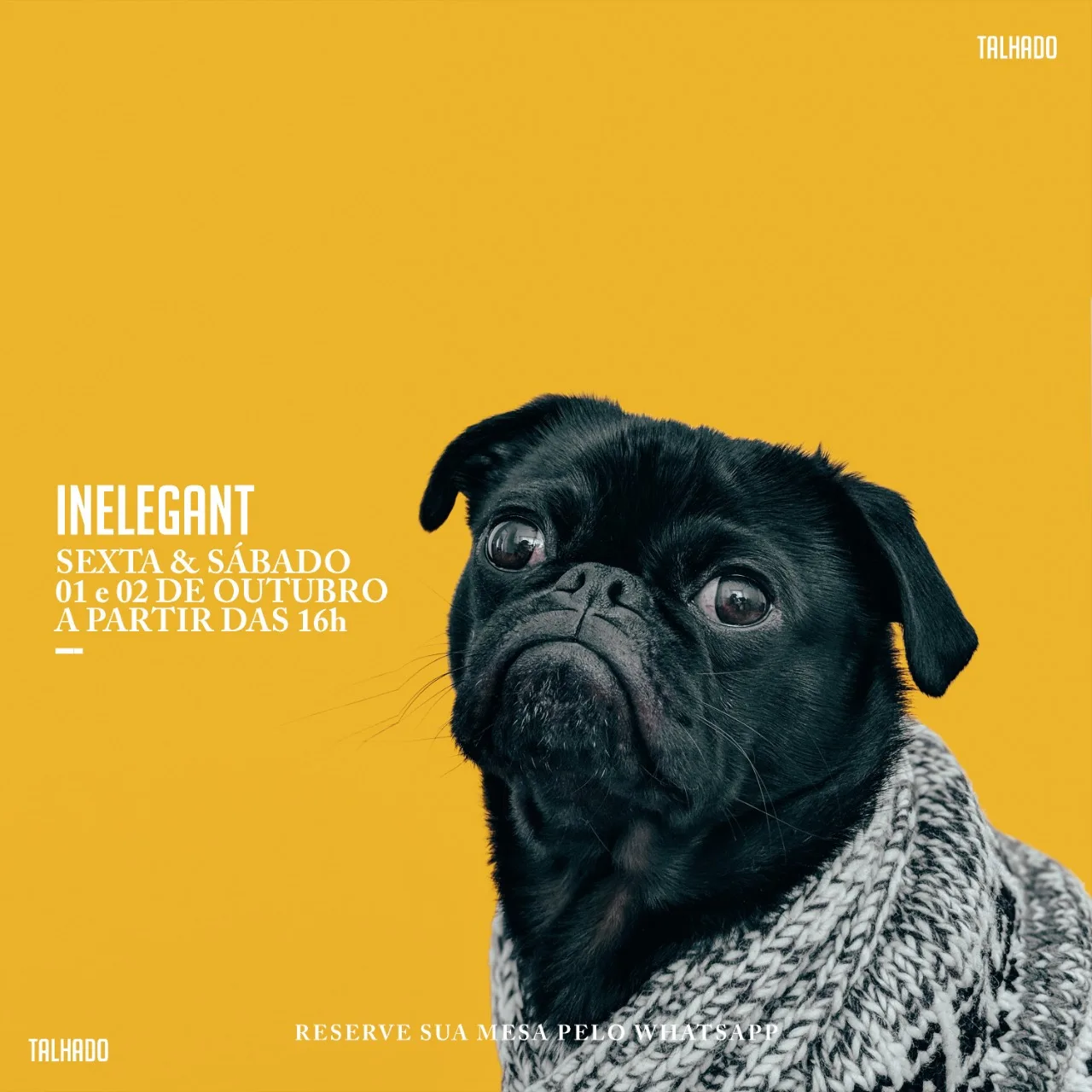 INELEGANT TALHADO
