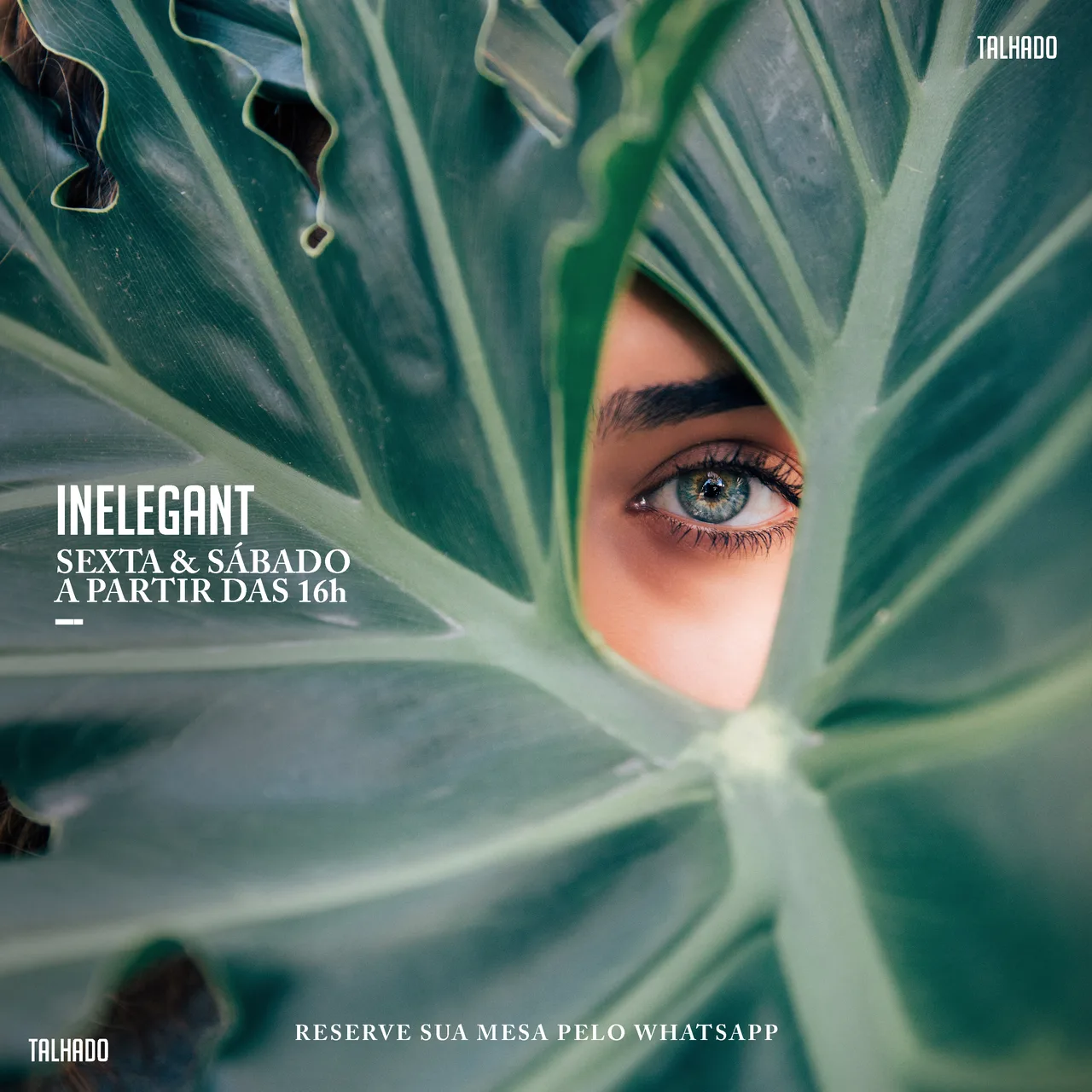 INELEGANT TALHADO