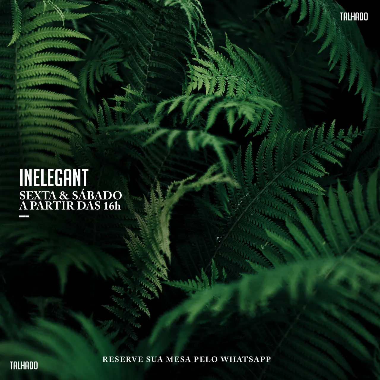 INELEGANT TALHADO
