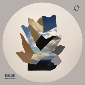 Capa de Feeling, de Evan Holfe