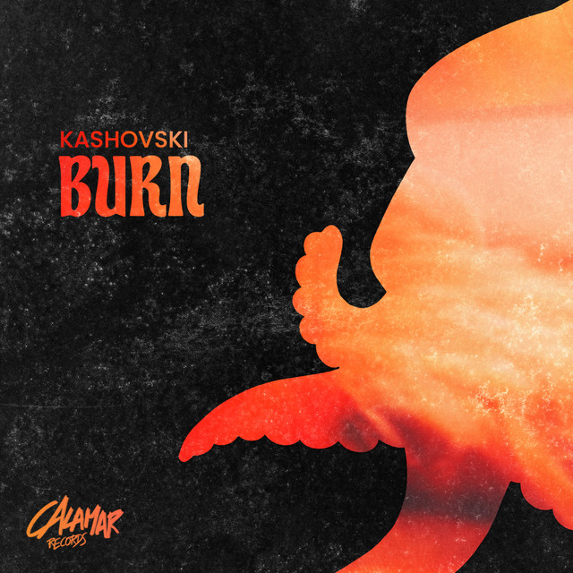 Capa de Burn